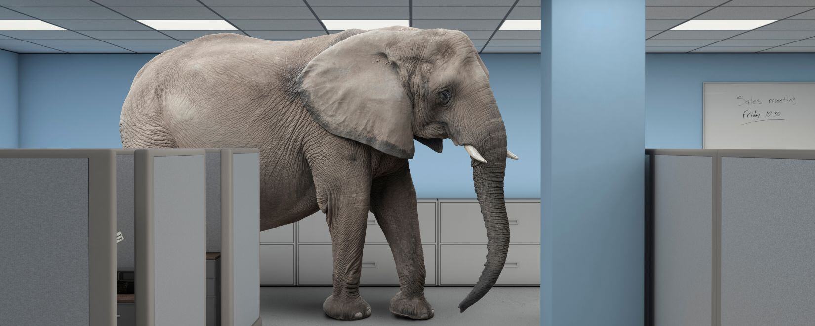 An elephant walking through an office