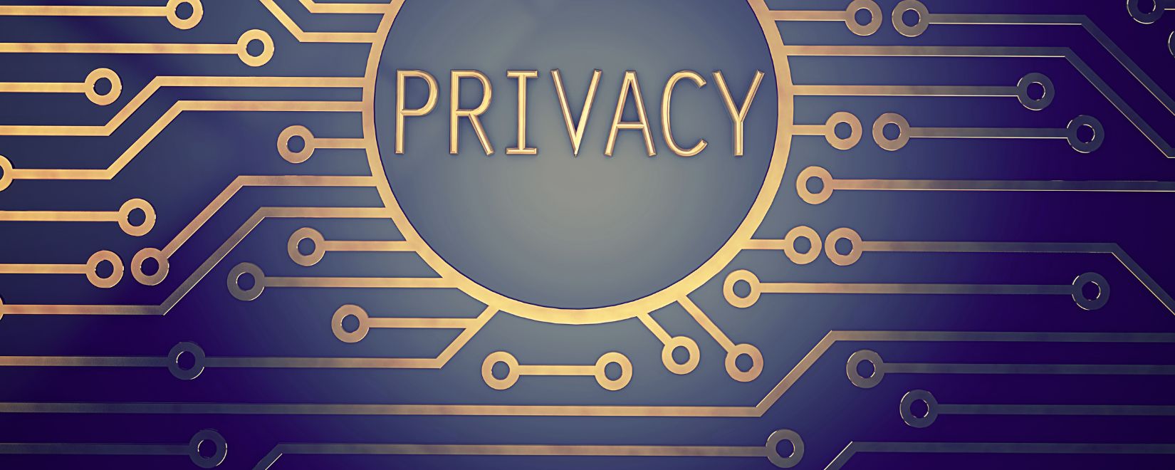 The word PRIVACY in gold letters surrounded by a gold computer network
